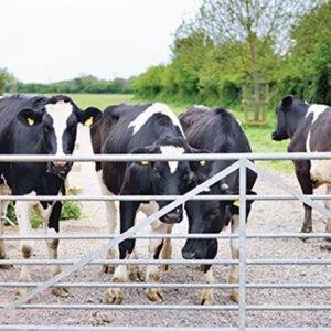 Automatic Gate Opener